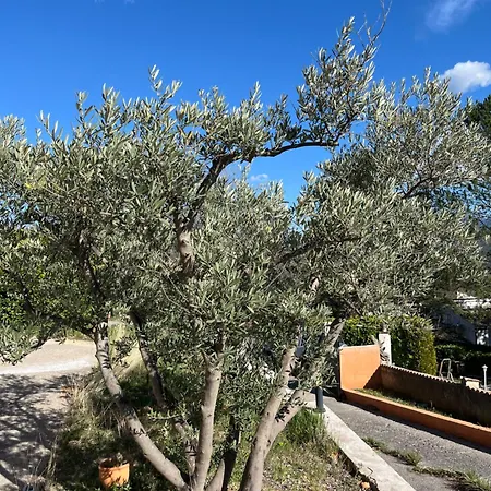 Apartman Pied A Terre En Provence